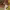 https://res.cloudinary.com/billionhands/image/upload/v1780313513/items/ne35rsfxdgmn45fxolz6.jpg-2cover