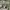 https://res.cloudinary.com/billionhands/image/upload/v1780313514/items/e6n6acdmpema4wmjzpfc.avif-3cover