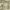 https://res.cloudinary.com/billionhands/image/upload/v1780315214/items/jiufkivvn9minsn4y7rf.webp-2cover