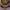 Atalaya cover