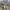 https://res.cloudinary.com/billionhands/image/upload/v1780315294/items/ba9pqlrrndkueodvei8p.webp-2cover