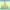https://res.cloudinary.com/billionhands/image/upload/v1780320820/items/zhzsnzinbqxd8wwrjexk.jpg-2cover
