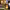 https://res.cloudinary.com/billionhands/image/upload/v1780325426/items/cguntni7ncjn4gexjatg.jpg-2cover