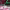Helarte Ice Cream Shop cover