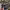 https://res.cloudinary.com/billionhands/image/upload/v1780332649/items/blzgtcfkvrueooxwds1o.jpg-3cover