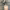 https://res.cloudinary.com/billionhands/image/upload/v1780333435/items/vexf9koxxjqszrckt2w9.png-2cover