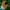 https://res.cloudinary.com/billionhands/image/upload/v1780340868/items/nxvswzftvxtdrtb6xdqi.webp-3cover
