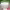 https://res.cloudinary.com/billionhands/image/upload/v1780346752/items/sdr6ofa57hxufeaxefty.jpg-1cover