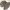 https://res.cloudinary.com/billionhands/image/upload/v1780346753/items/zm39xhejqaj7gpn3rnwq.webp-2cover