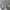 https://res.cloudinary.com/billionhands/image/upload/v1780348199/items/pjfxod8zis6m07blywlu.jpg-0cover