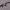 https://res.cloudinary.com/billionhands/image/upload/v1780349844/items/jstdq24j28dcvsdks3xv.webp-2cover