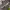 https://res.cloudinary.com/billionhands/image/upload/v1780357151/items/lgugl71rsgl0h9t9vimj.jpg-2cover