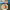 https://res.cloudinary.com/billionhands/image/upload/v1780360856/items/rnqhvtaqtj6eoqhlyyrb.webp-2cover