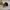 https://res.cloudinary.com/billionhands/image/upload/v1780369163/items/rfetfp03psat3f5bnhqc.jpg-0cover