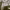 https://res.cloudinary.com/billionhands/image/upload/v1780369701/items/wbmvukotvz6ocjab0j3c.webp-0cover