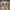 https://res.cloudinary.com/billionhands/image/upload/v1780369702/items/gqzgdoaqogomwt3ikx0i.jpg-3cover