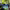 https://res.cloudinary.com/billionhands/image/upload/v1780376415/items/cbvh3kni5plirlmckdty.webp-2cover