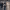 https://res.cloudinary.com/billionhands/image/upload/v1780376876/items/vezge4zm5growcumohap.jpg-3cover