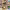 https://res.cloudinary.com/billionhands/image/upload/v1780380154/items/olcpn4wcgs5grohw66vf.jpg-3cover