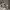 https://res.cloudinary.com/billionhands/image/upload/v1780383739/items/ppqw0wjgkbvchspnwrc1.jpg-2cover