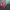 https://res.cloudinary.com/billionhands/image/upload/v1780388367/items/o4alqtzityqvk2nmxg25.jpg-3cover