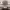 https://res.cloudinary.com/billionhands/image/upload/v1780388442/items/ig9qwzekix7nhjn8zvfs.avif-2cover