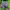https://res.cloudinary.com/billionhands/image/upload/v1780388780/items/sevfviw2mwywdotrvb9r.avif-1cover