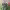 https://res.cloudinary.com/billionhands/image/upload/v1780388781/items/clgcy0jxvkzhbbh1qqes.webp-2cover