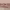 https://res.cloudinary.com/billionhands/image/upload/v1780390487/items/itpevbkk6inhw63akzzj.jpg-1cover