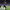 Alexander Isak's Goal (Newcastle vs. [unspecified team]) cover