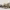 https://res.cloudinary.com/billionhands/image/upload/v1780397193/items/mrc2niewcifyj1qvyjss.webp-1cover