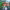 https://res.cloudinary.com/billionhands/image/upload/v1780406267/items/tdgigktr2uazjtue1ejr.jpg-0cover