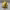https://res.cloudinary.com/billionhands/image/upload/v1780409912/items/oszkzsft3xdhkvmlon1i.jpg-3cover
