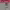 https://res.cloudinary.com/billionhands/image/upload/v1780410694/items/ulhdhod0x4vhylo5ke37.jpg-1cover