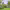 https://res.cloudinary.com/billionhands/image/upload/v1780416670/items/xtmoufimqmz0yxouoter.jpg-3cover