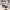 https://res.cloudinary.com/billionhands/image/upload/v1780437320/items/t8gpwjbs8bv5vn7dnr0n.jpg-1cover