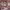 https://res.cloudinary.com/billionhands/image/upload/v1780444127/items/drdtvywjy9ez3yanunls.webp-3cover