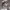 https://res.cloudinary.com/billionhands/image/upload/v1780444132/items/sw0bjpqtndsakjptpvgi.jpg-0cover