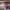 https://res.cloudinary.com/billionhands/image/upload/v1780452317/items/jdznxq70nfqajo6ujbbl.jpg-1cover