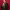 https://res.cloudinary.com/billionhands/image/upload/v1780455678/items/xjcsggkeeph9jhmul6ko.webp-2cover