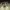 https://res.cloudinary.com/billionhands/image/upload/v1780460853/items/qqzzce5dk7pes32vdtrc.jpg-3cover