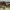 https://res.cloudinary.com/billionhands/image/upload/v1780464439/items/nezyu26k8bsvsqm9cvae.jpg-2cover