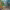 https://res.cloudinary.com/billionhands/image/upload/v1780464442/items/oxm9gh5xlkbchipxcvvf.jpg-3cover