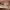 https://res.cloudinary.com/billionhands/image/upload/v1780464444/items/dufbbsmiy4ccmijxunc7.jpg-3cover