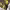 https://res.cloudinary.com/billionhands/image/upload/v1780464624/items/gqolbldombrfferutcwb.jpg-1cover