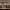 https://res.cloudinary.com/billionhands/image/upload/v1780464793/items/znqtyhgcr5trsodck8ky.jpg-0cover