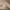 Lumond Sandalwood Candle cover