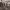 https://res.cloudinary.com/billionhands/image/upload/v1780465009/items/rertxaopumkvgt2bo2p3.jpg-0cover