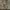 https://res.cloudinary.com/billionhands/image/upload/v1780465185/items/bbzdsvuyp67ga54mtoq7.webp-0cover