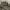 https://res.cloudinary.com/billionhands/image/upload/v1780465258/items/cgevhmwjrmbawbnrgelj.jpg-0cover